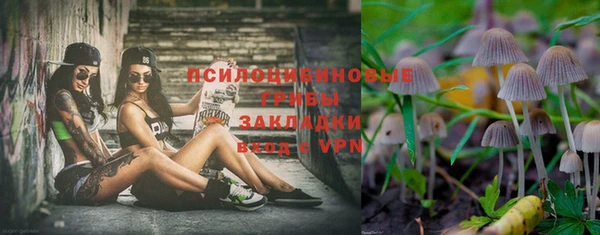 мяу мяу мука Горнозаводск