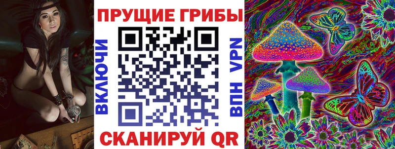 Галлюциногенные грибы мухоморы  купить наркотики цена  Тула 